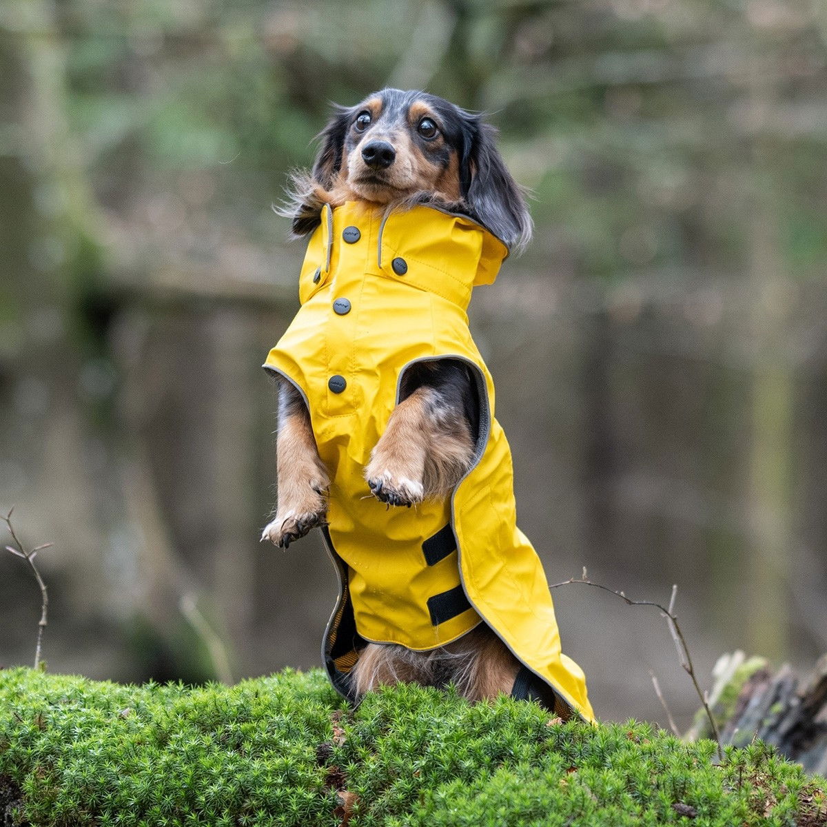 Rukka Stream regndekken gul