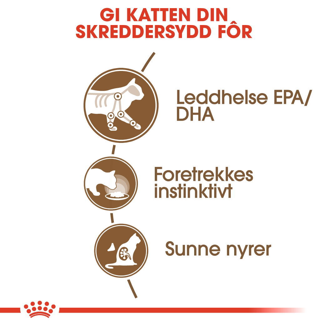 Royal Canin Ageing 12+ Gravy våtfôr til katt