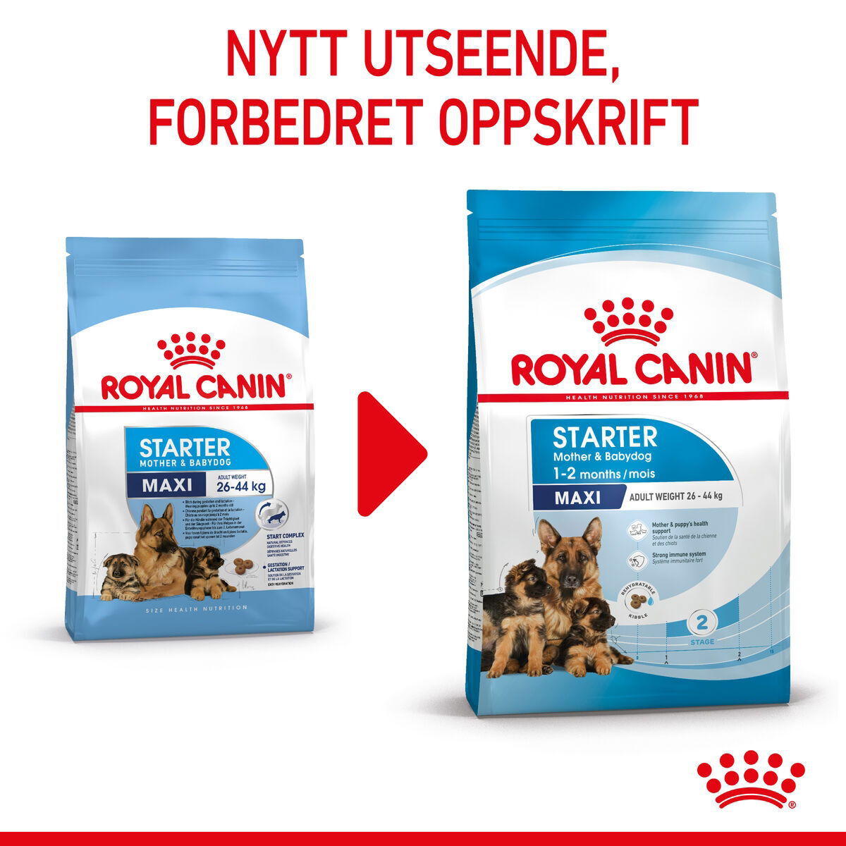 Royal Canin Maxi Starter tørrfôr til hund og valp