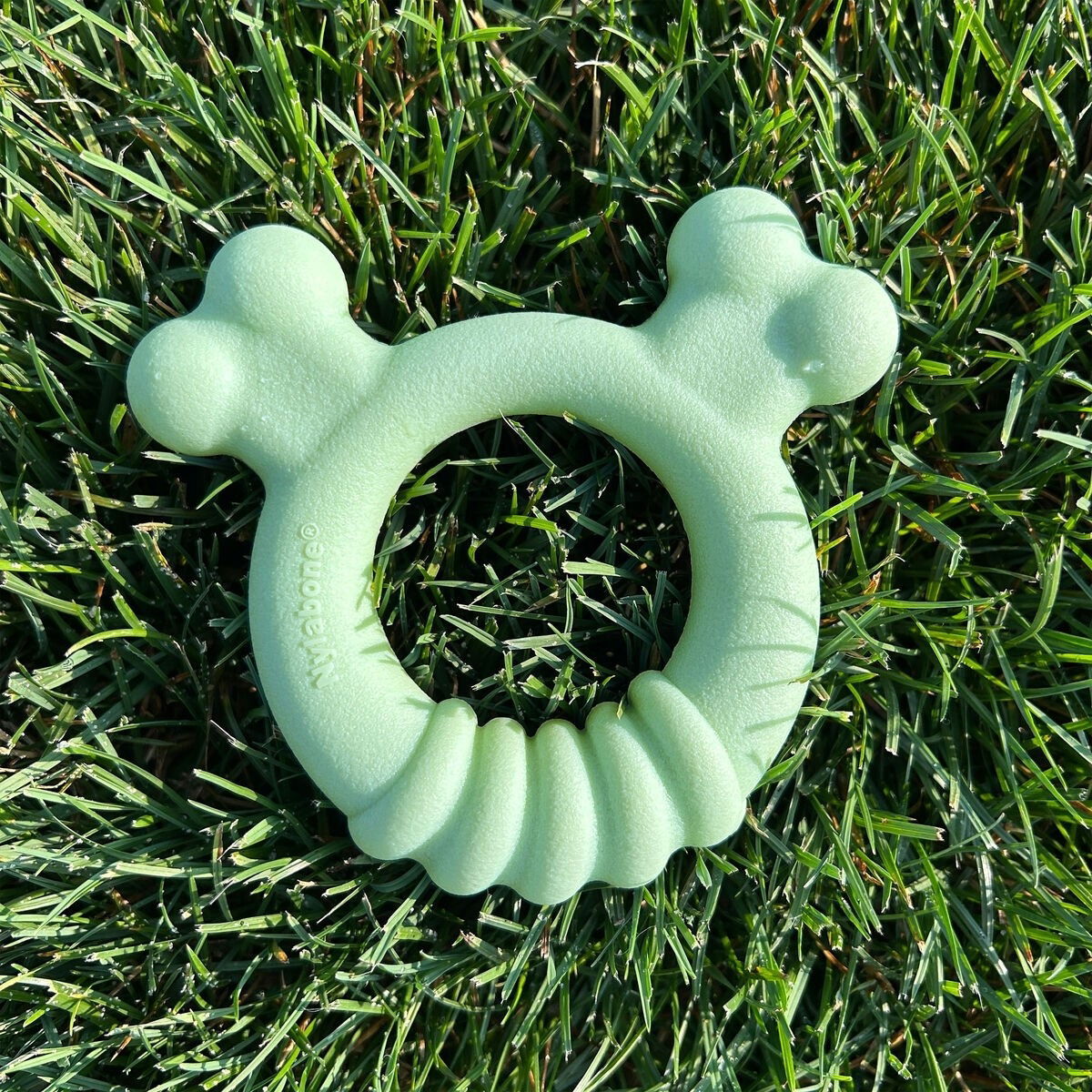 Nylabone Puppy Tactile ring chicken S