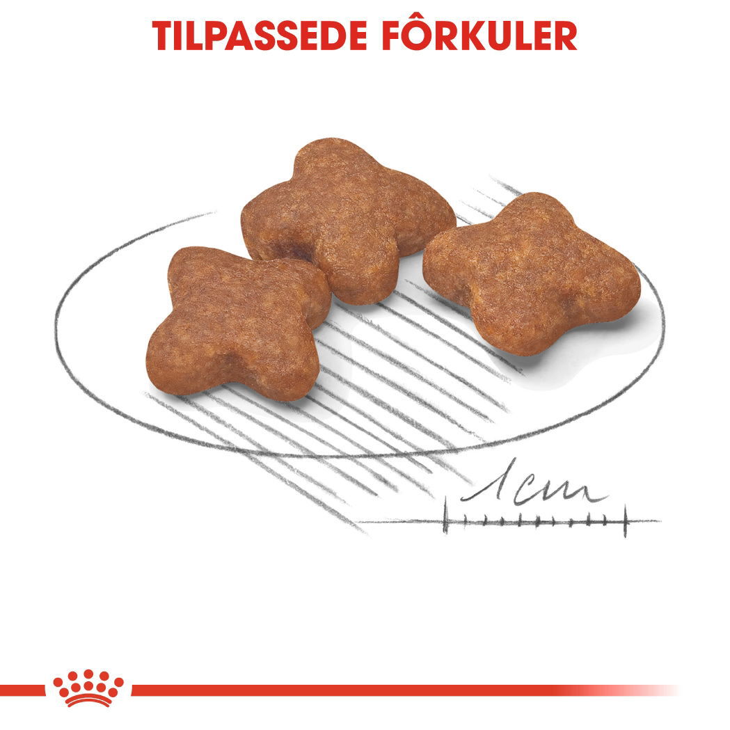Royal Canin Mini Adult 8+ tørrfôr til hund
