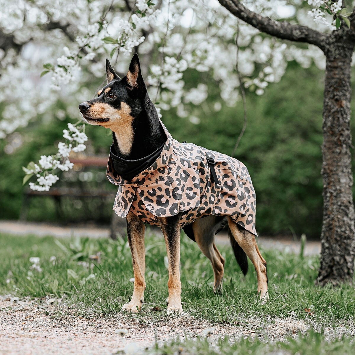 PAIKKA Visibility Raincoat Lite, leo