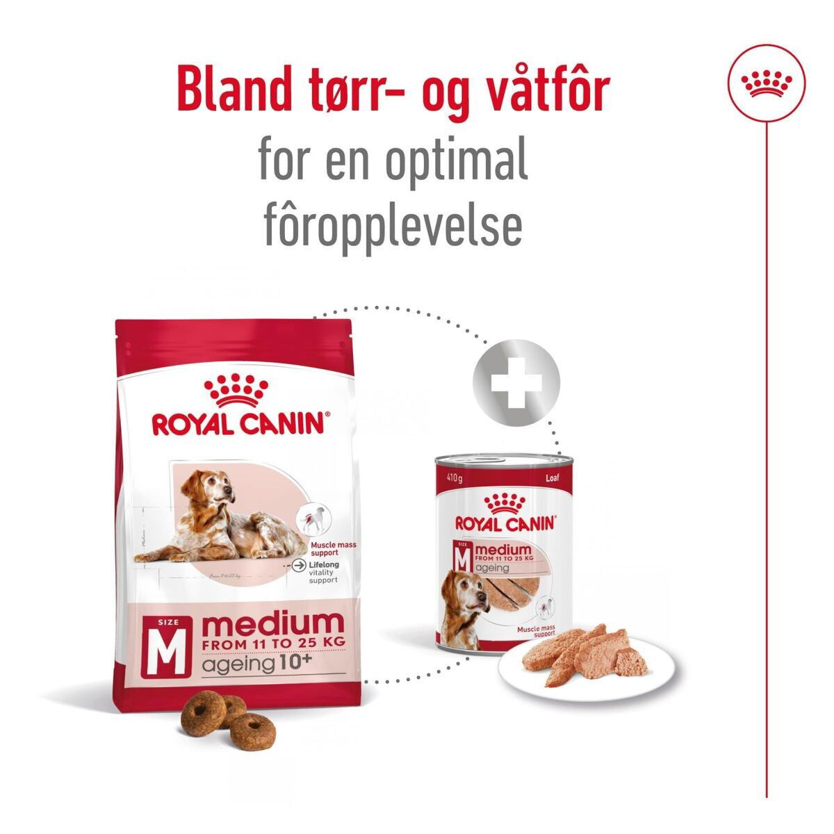 Royal Canin Medium Ageing 10+ tørrfôr til hund