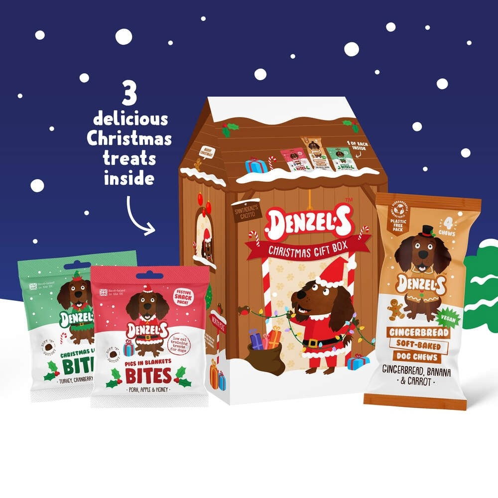 Denzel's Christmas Grotto Gift Box for dogs 175g