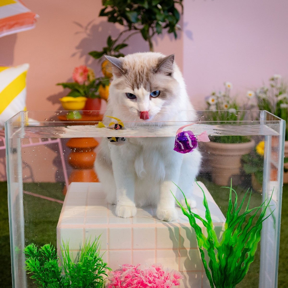 Little&Bigger Hot Summer Swimming Robot fish 2-pack