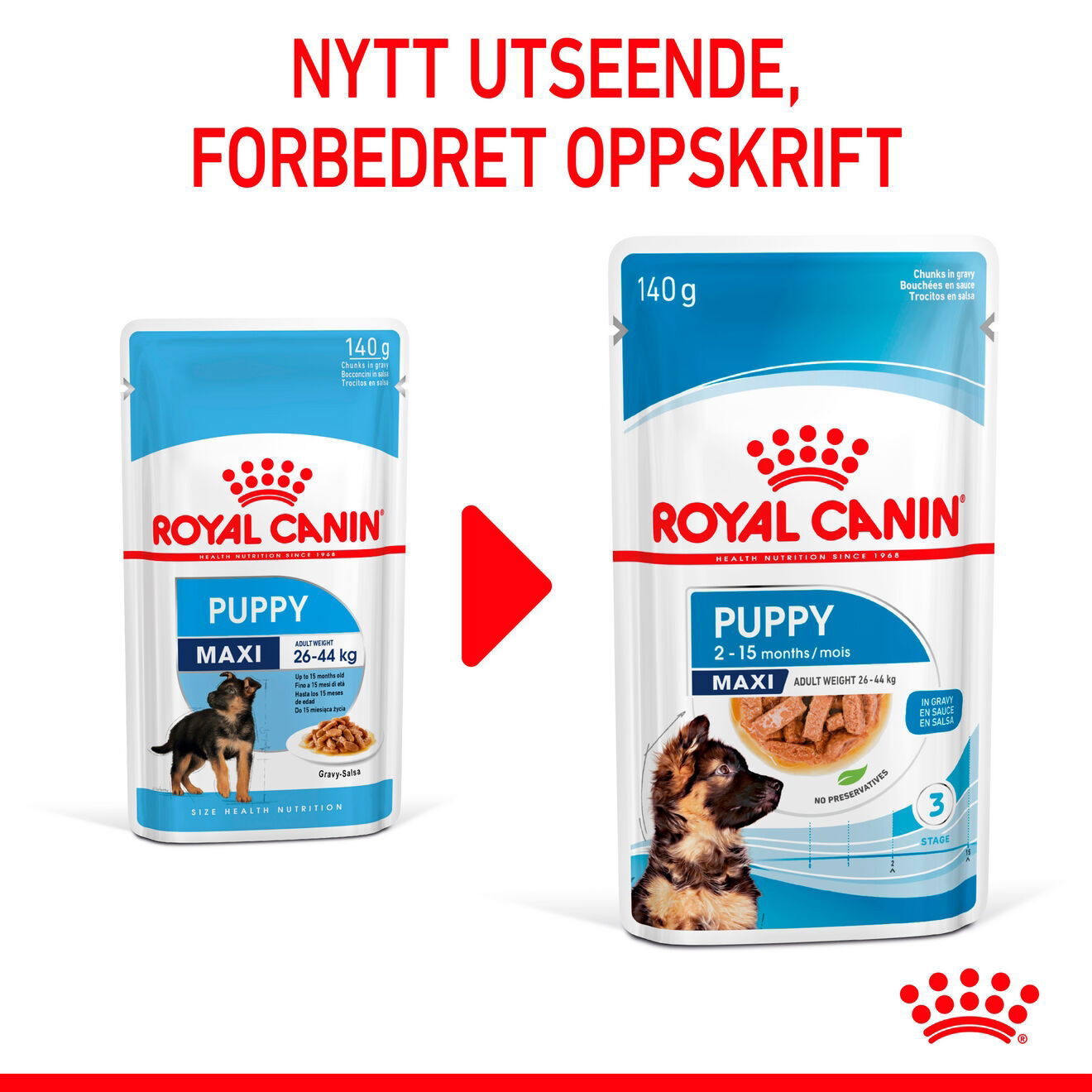Royal Canin Maxi Puppy Gravy våtfôr til valp
