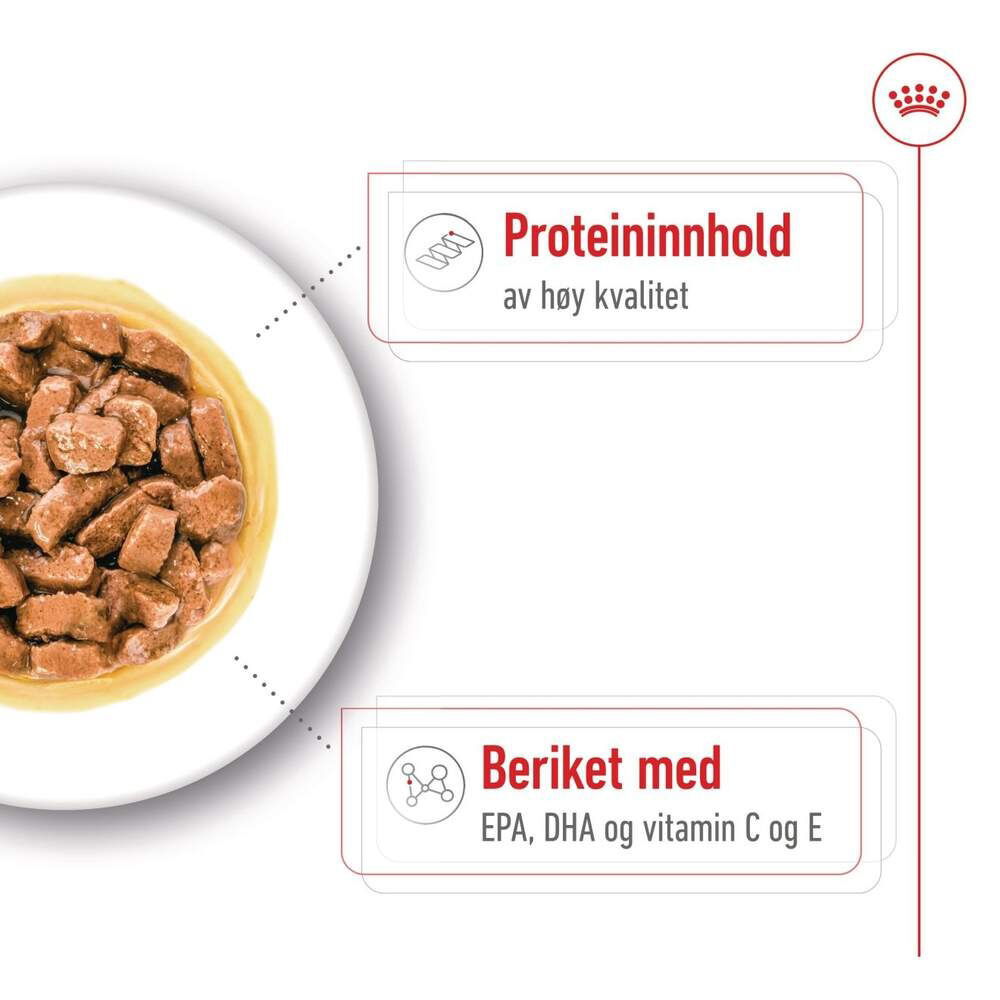 Royal Canin Medium Ageing Gravy våtfôr til hund