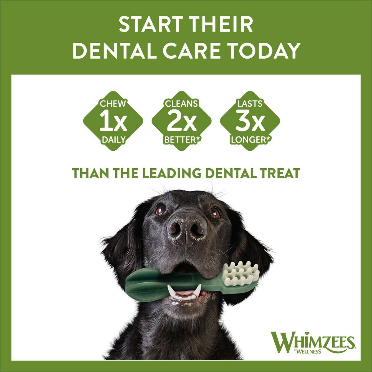 Whimzees tannbørste S økonomiforpaktning 24 stk