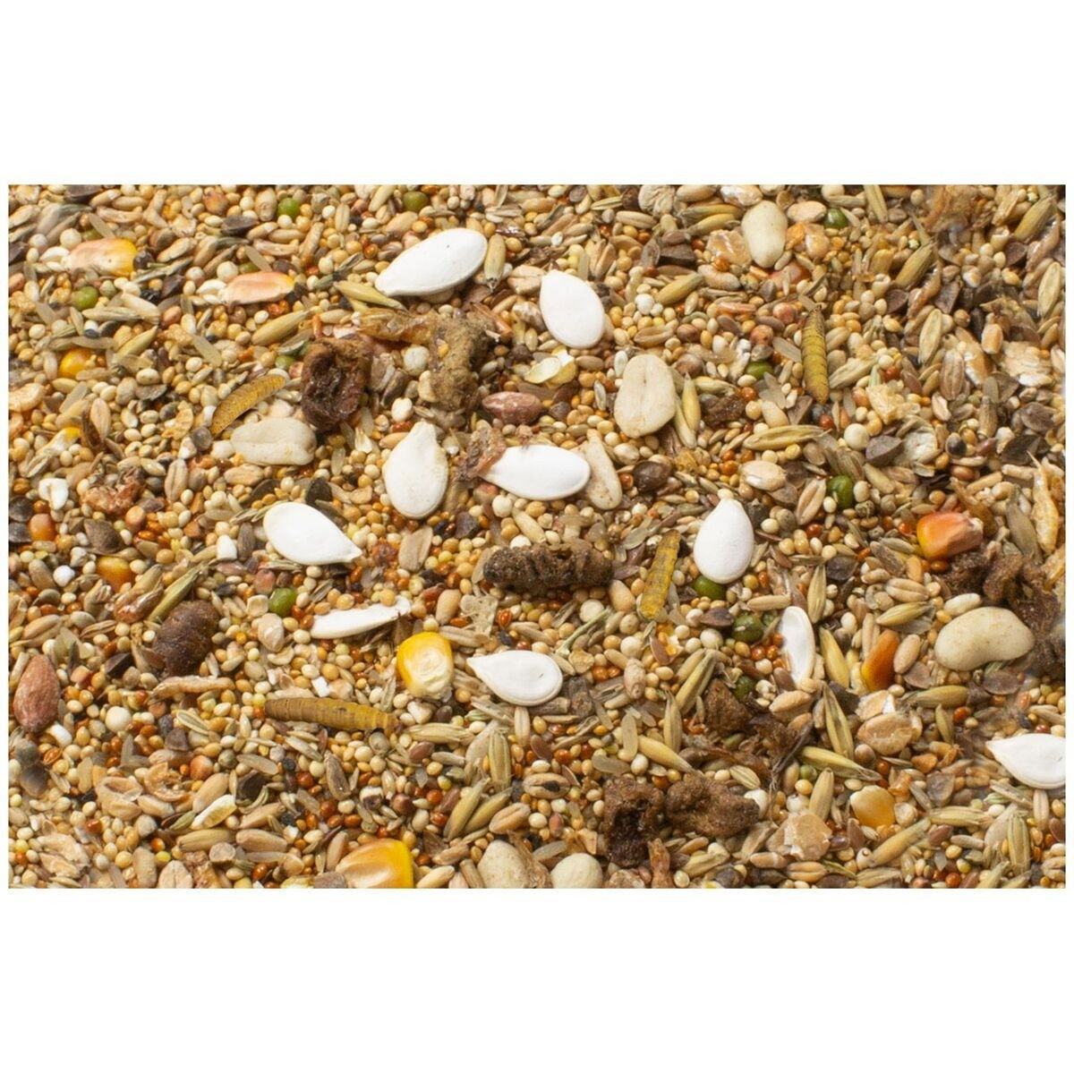 JR Farm Dwarf hamsters' feast 600g