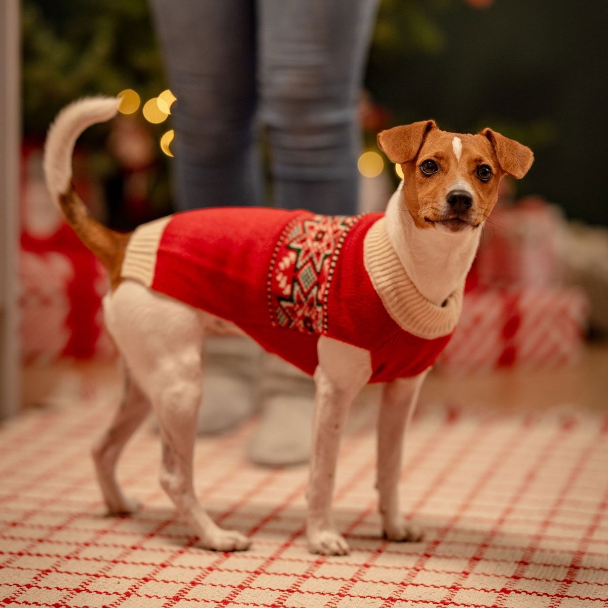 Little&Bigger Nostalgic sweater red