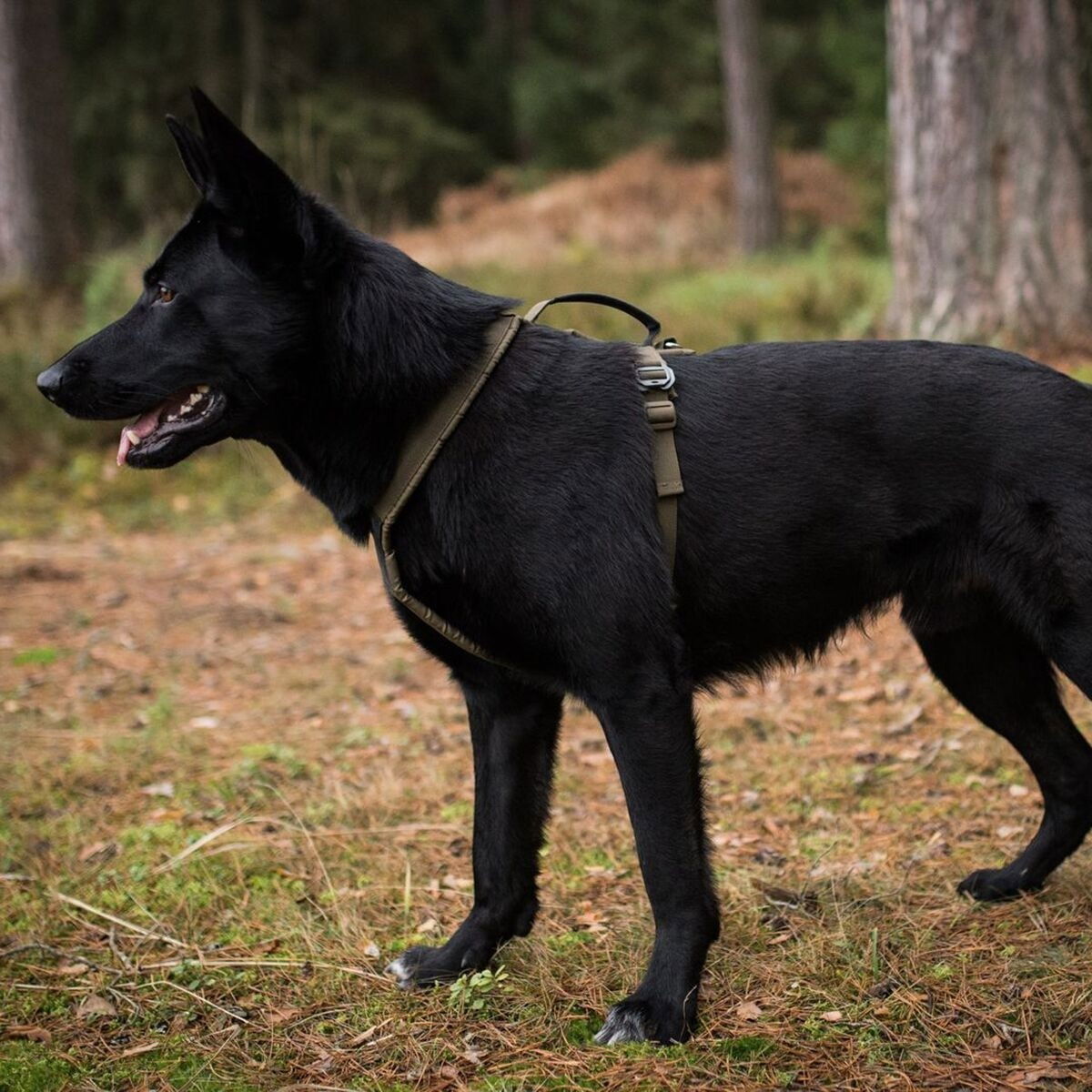 Non-Stop Line harness grip defense, green