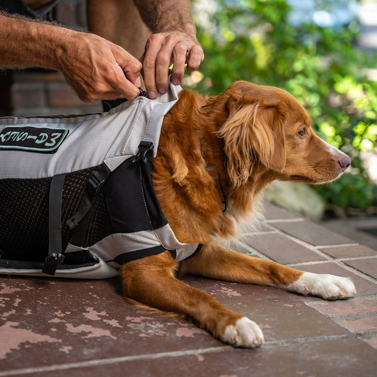 K9 Sport Sack Knavigate, Light Grey