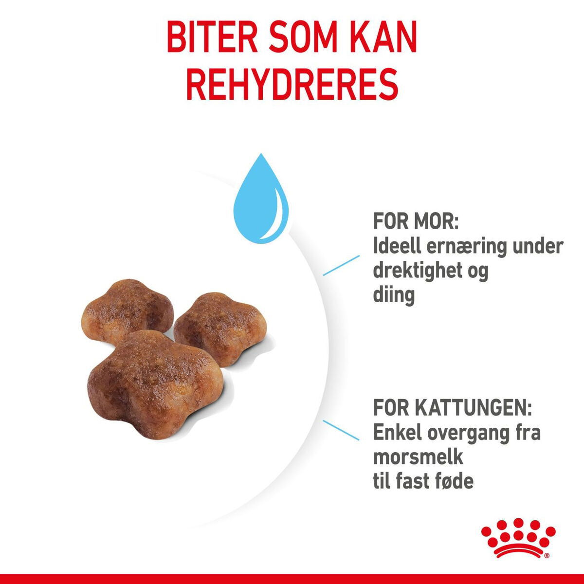 Royal Canin Mother & Babycat tørrfôr til katt og kattunge