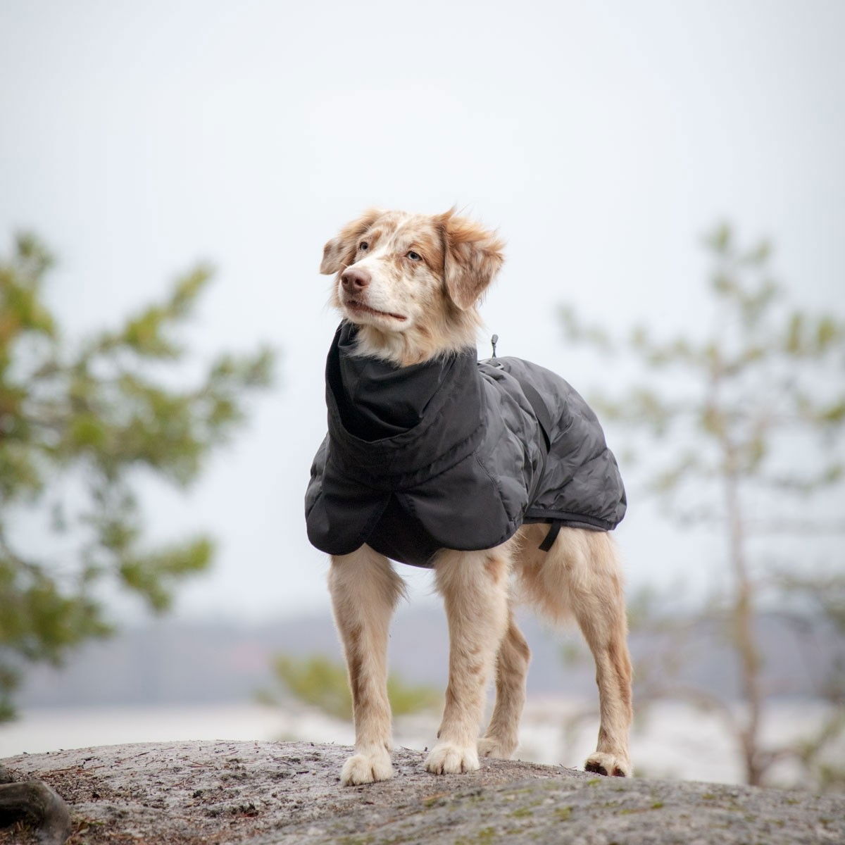 Feel Active Haga parka black