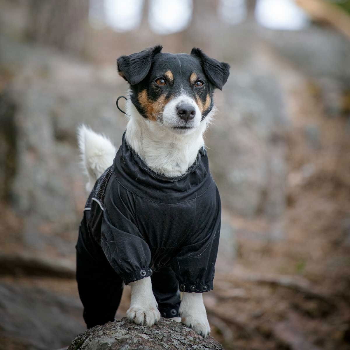 Feel Active Nimble overall black