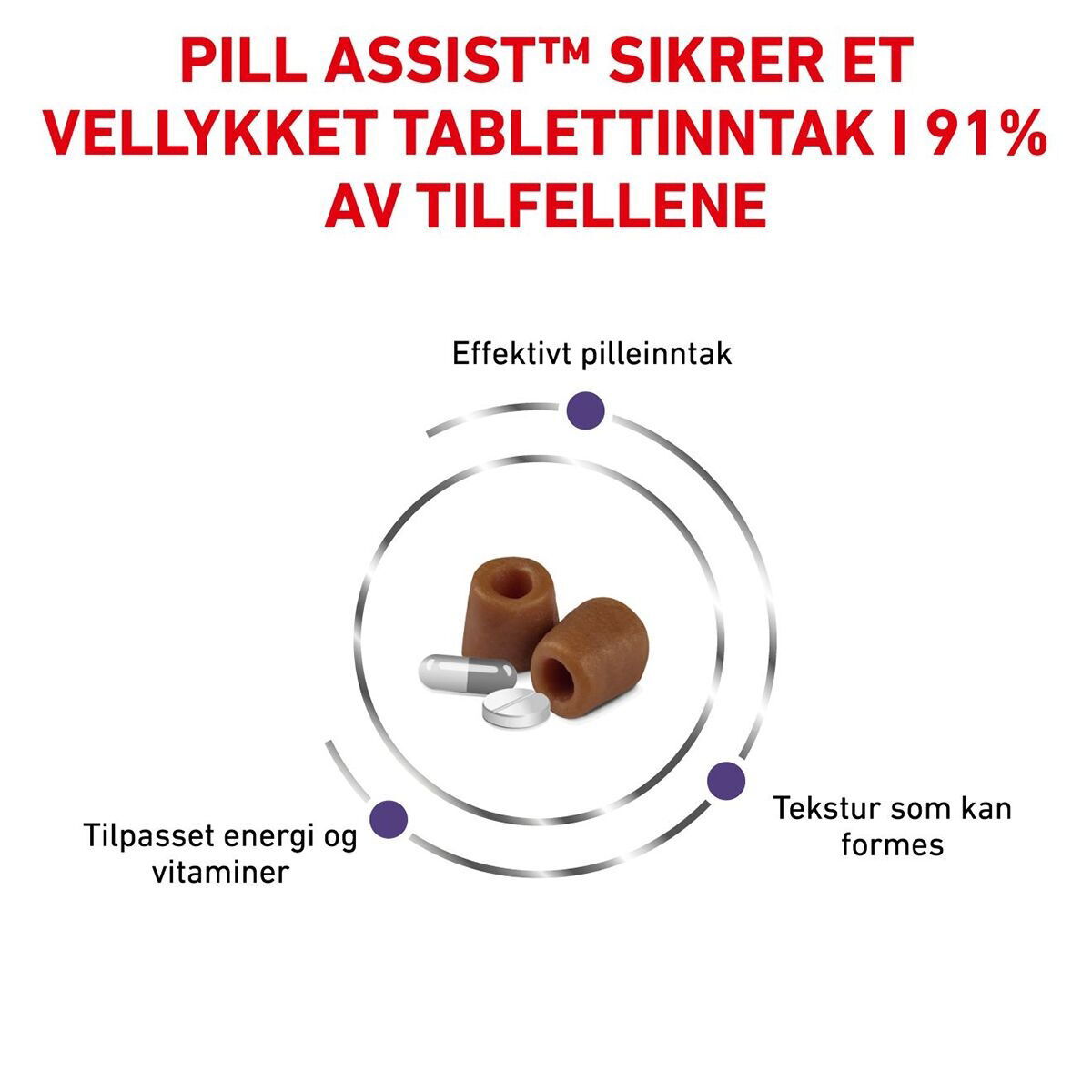 Royal Canin Veterinary Diets Cat Pill Assist 45g