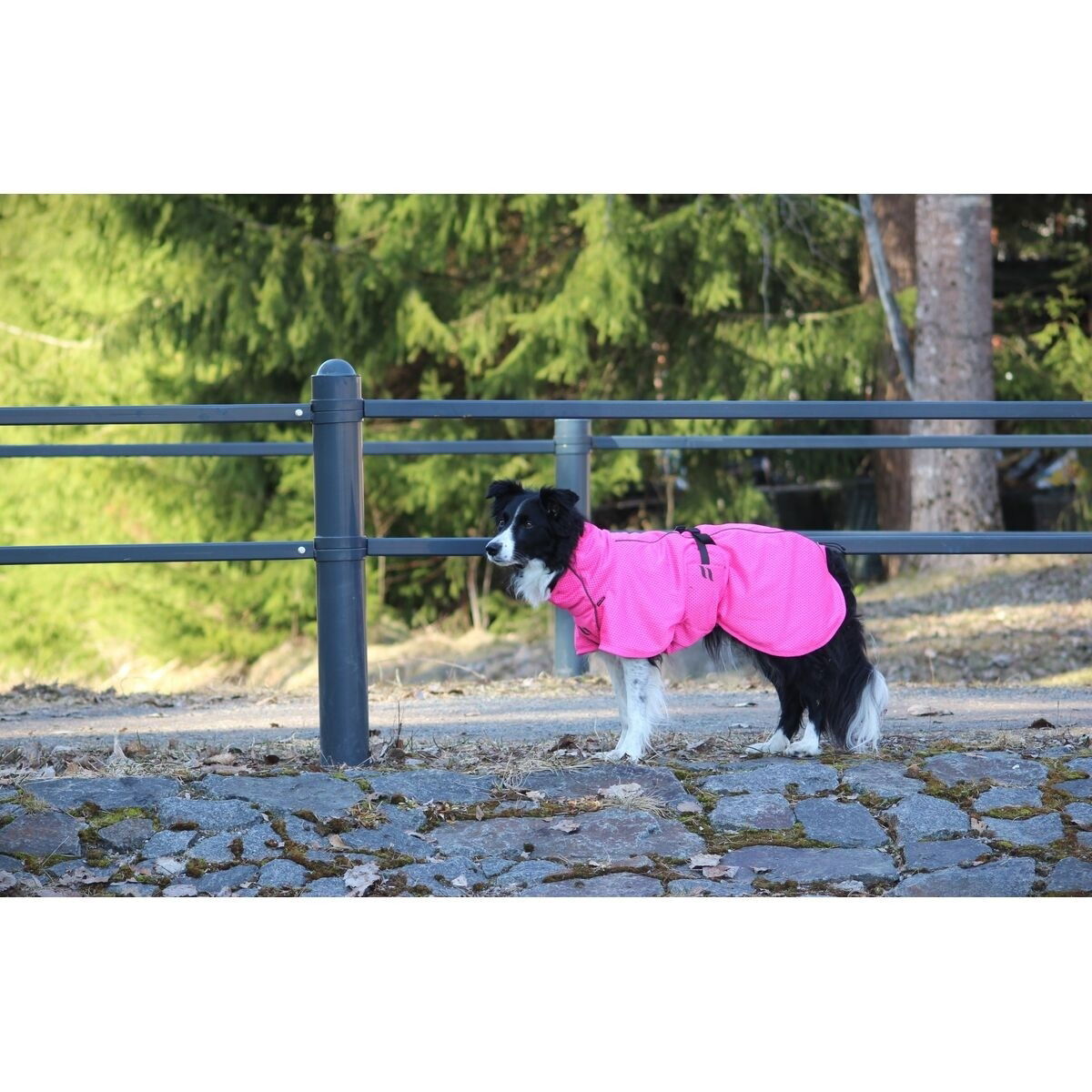 Back on Track Mesh jacket Limited Edition, Hot Pink