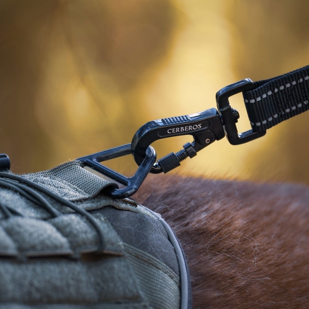 Cerberos Dog Leash Black, 3m