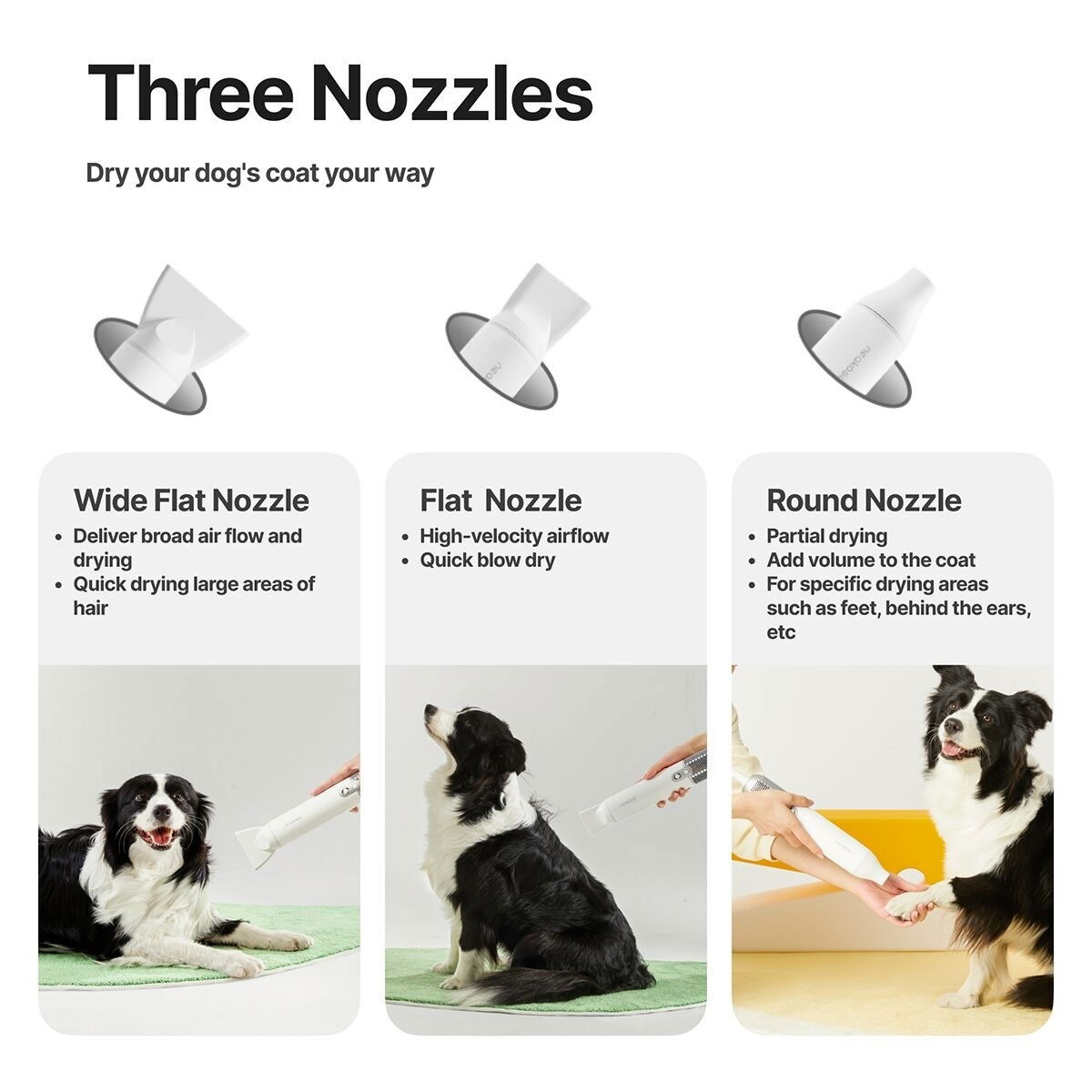 Neakasa F1 Pet Dryer