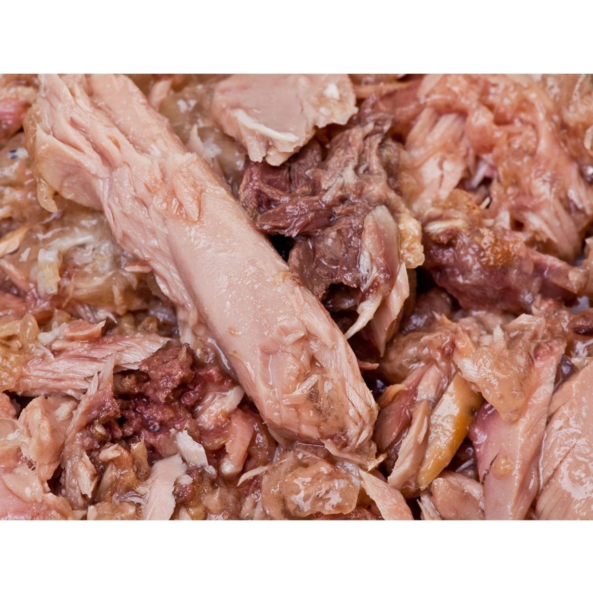 Feline Porta 21 tunfisk og shirasu