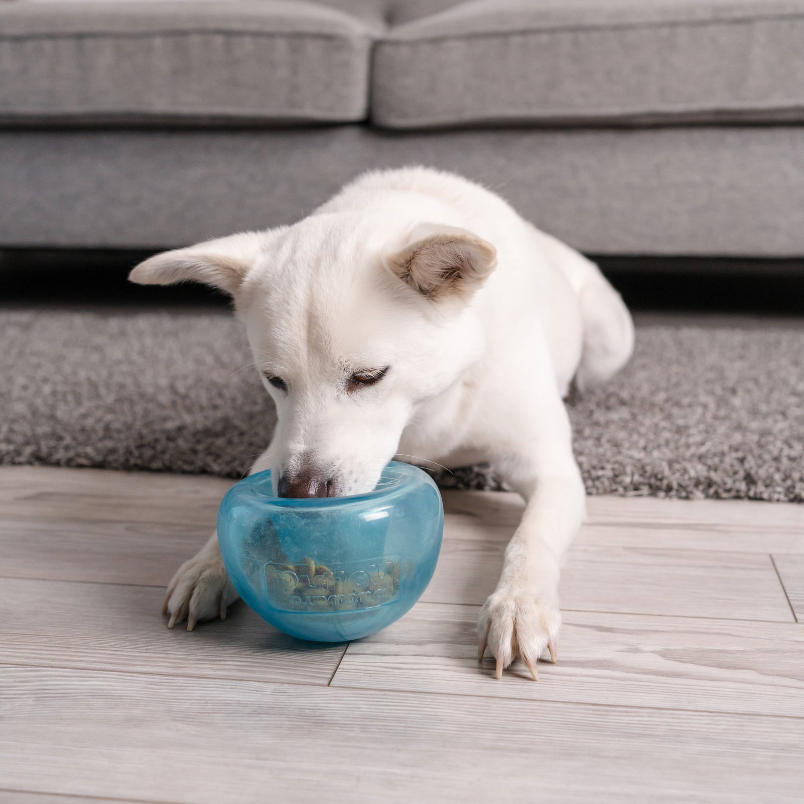 Nina Ottosson Outward Hound Snoop light blue