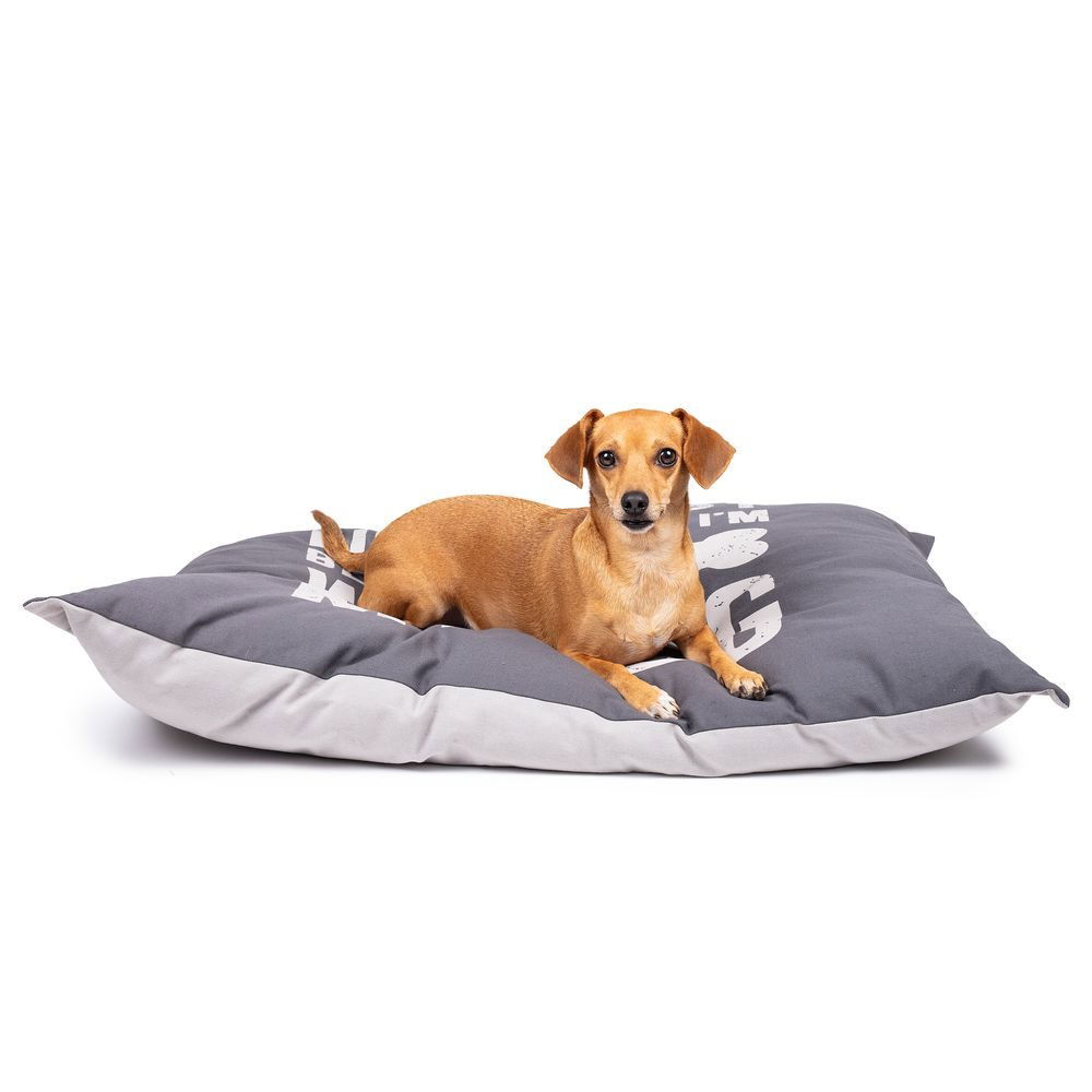 Little&Bigger Life is Better pillow grey