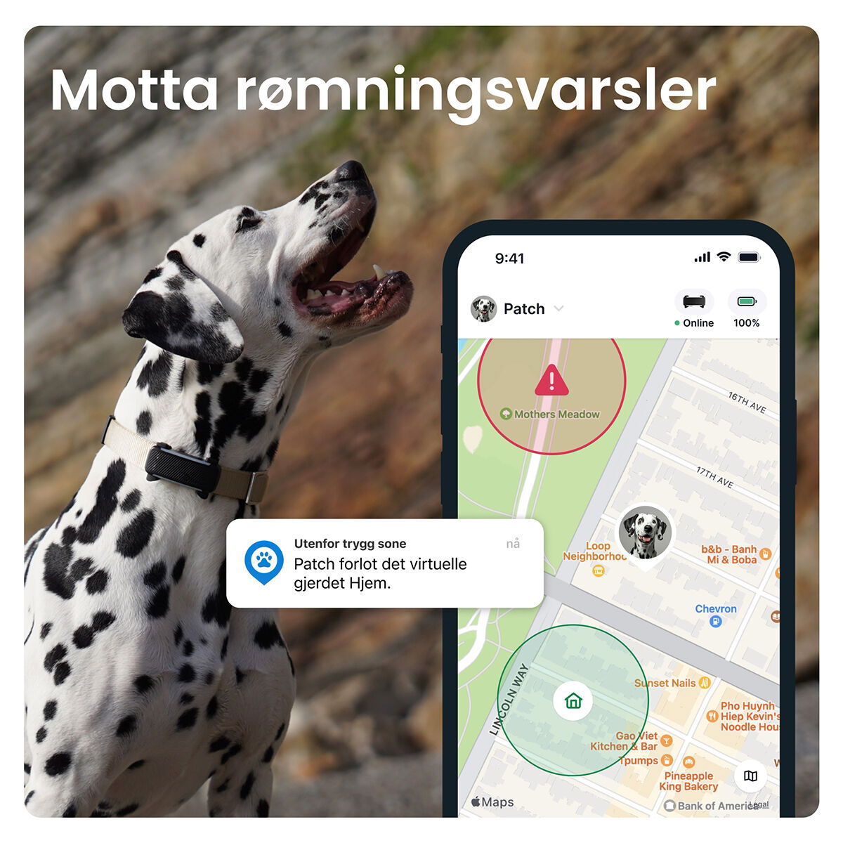 Tractive for DOG 6 tracker