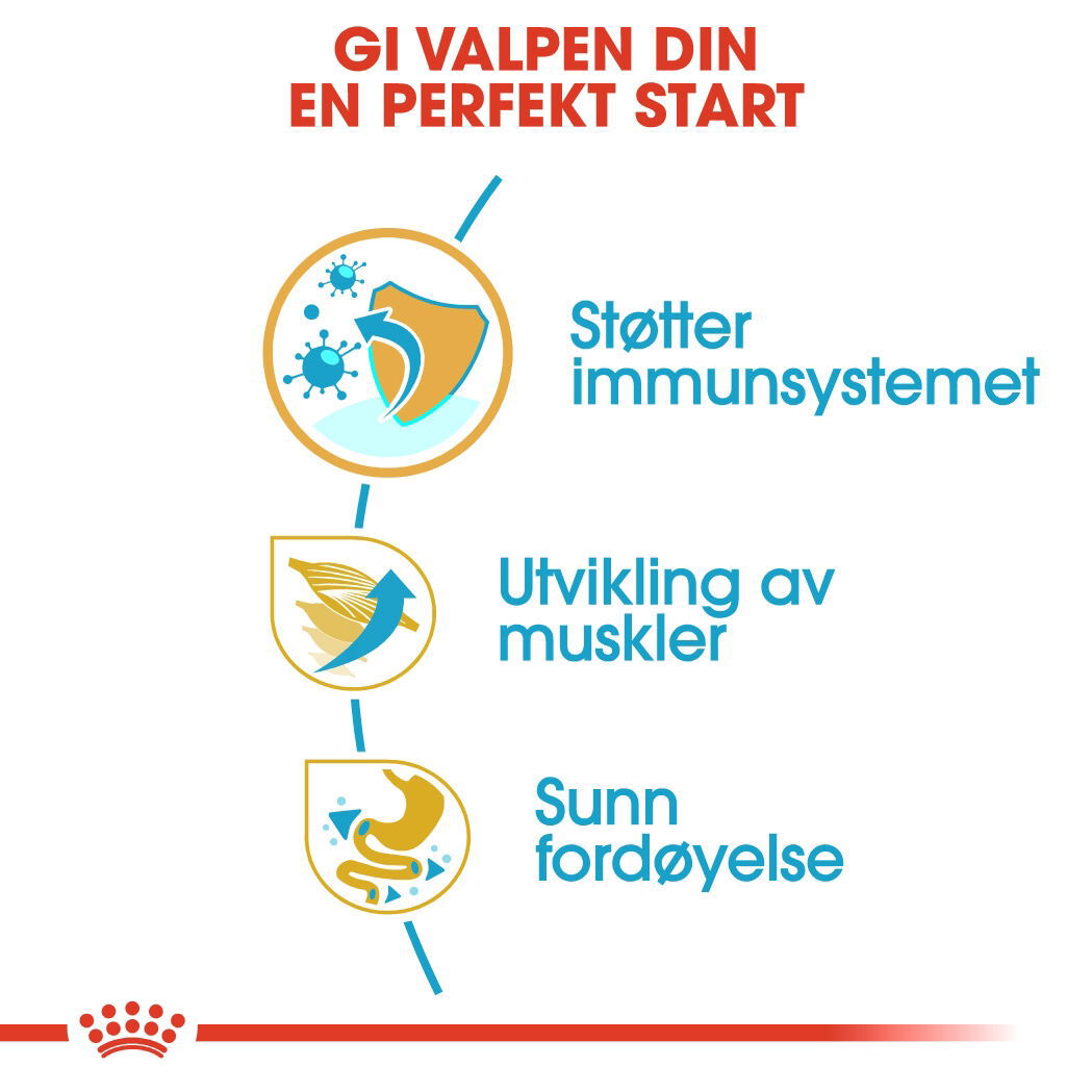 Royal Canin Boxer Puppy tørrfôr til hundvalp