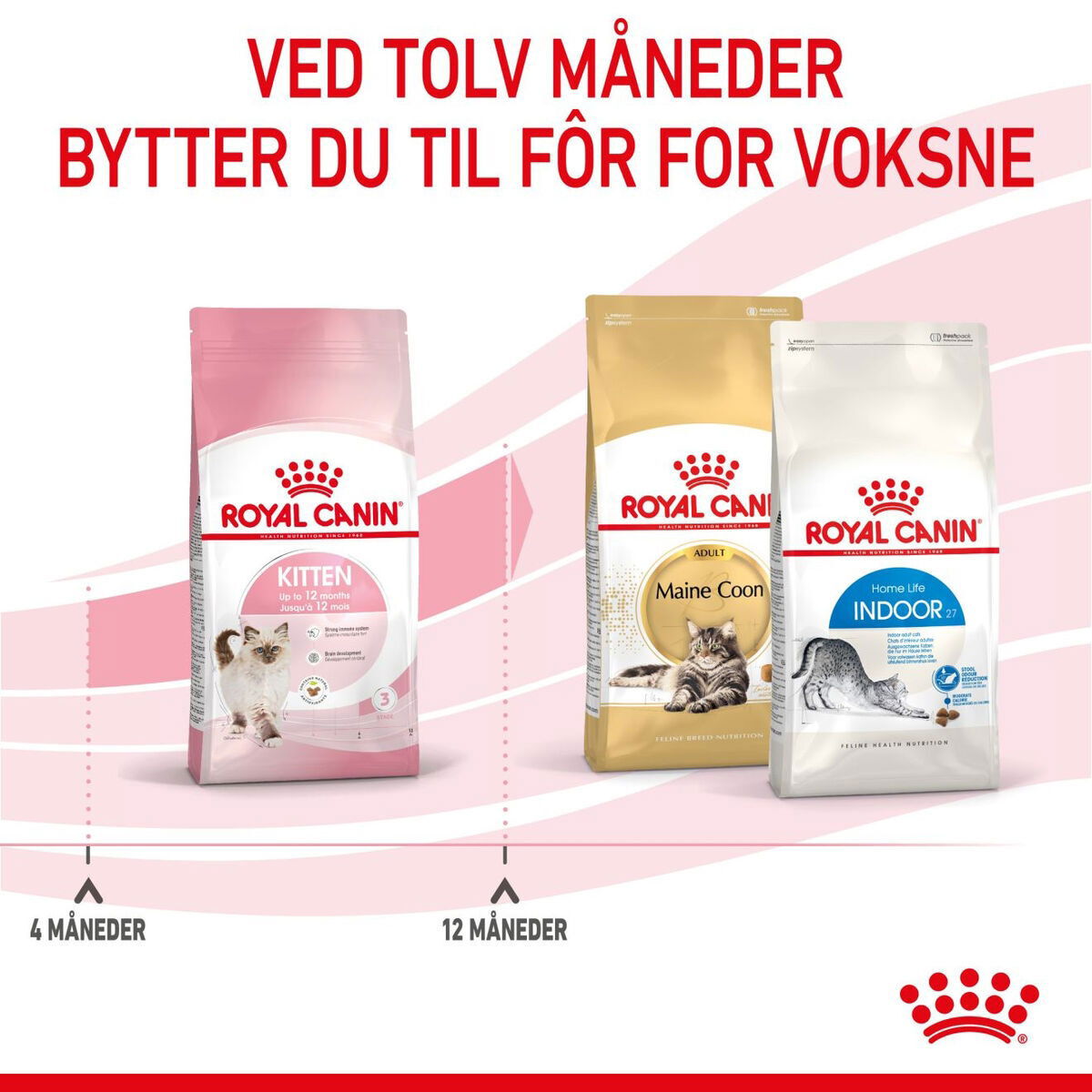 Royal Canin Kitten tørrfôr til kattunge