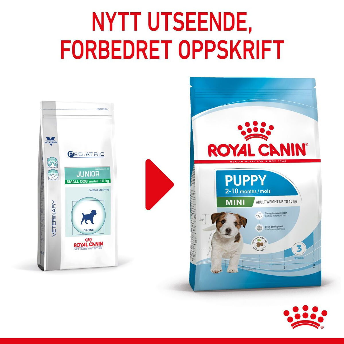 Royal Canin Mini Puppy tørrfôr til valp