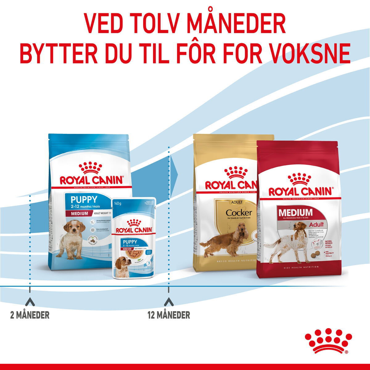 Royal Canin Medium Puppy tørrfôr til valp