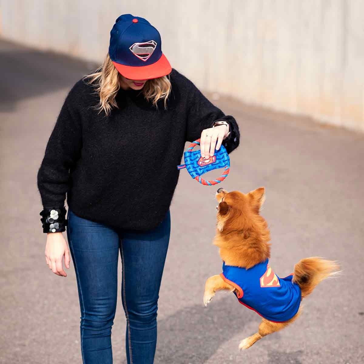 For FAN Pets T-shirt Superman