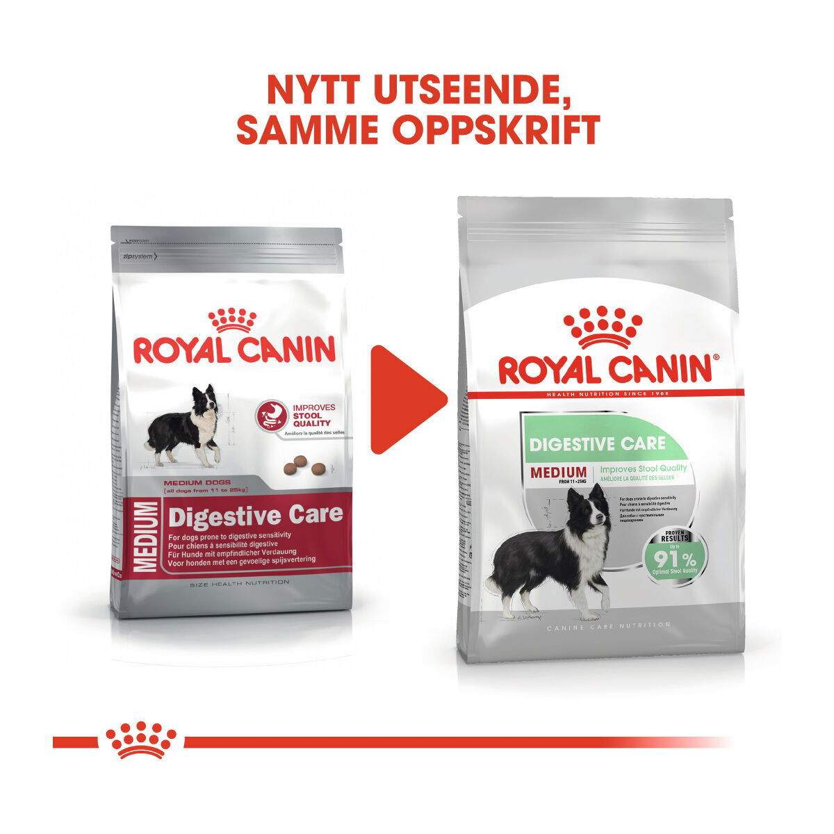 Royal Canin Digestive Care Medium Adult tørrfôr til hund