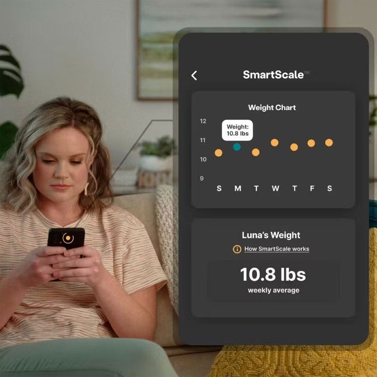 Whisker Litter-Robot 4, black