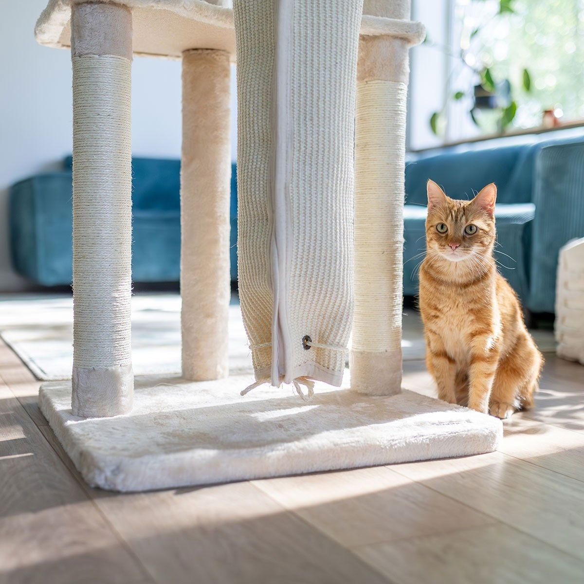 Quapas! Scratcher with climbing bag, beige 136cm