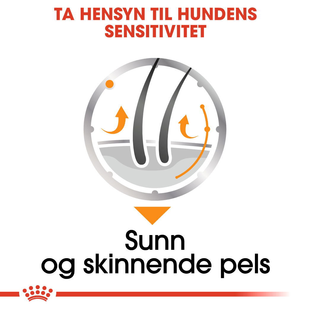 Royal Canin Coat Care Adult våtfôr til hund