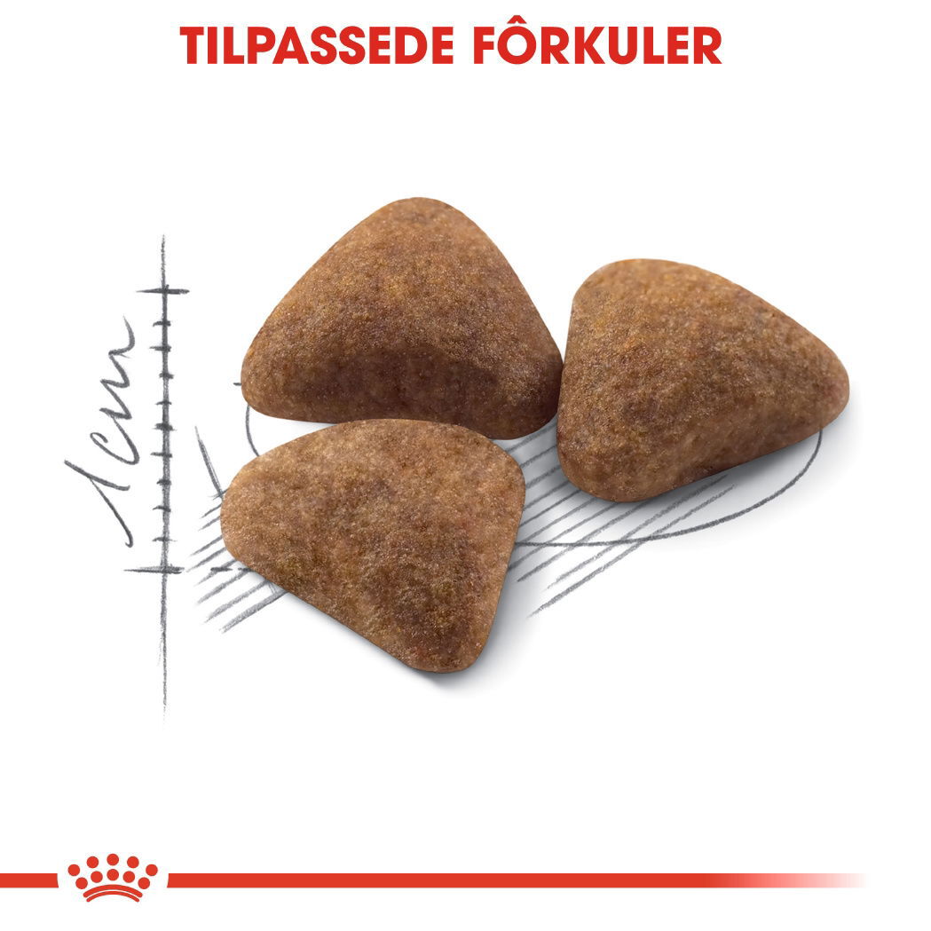 Royal Canin Indoor Adult tørrfôr til katt
