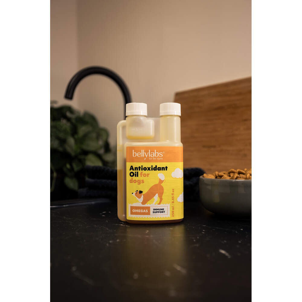 Bellylabs Antioxidant Oil 250 ml