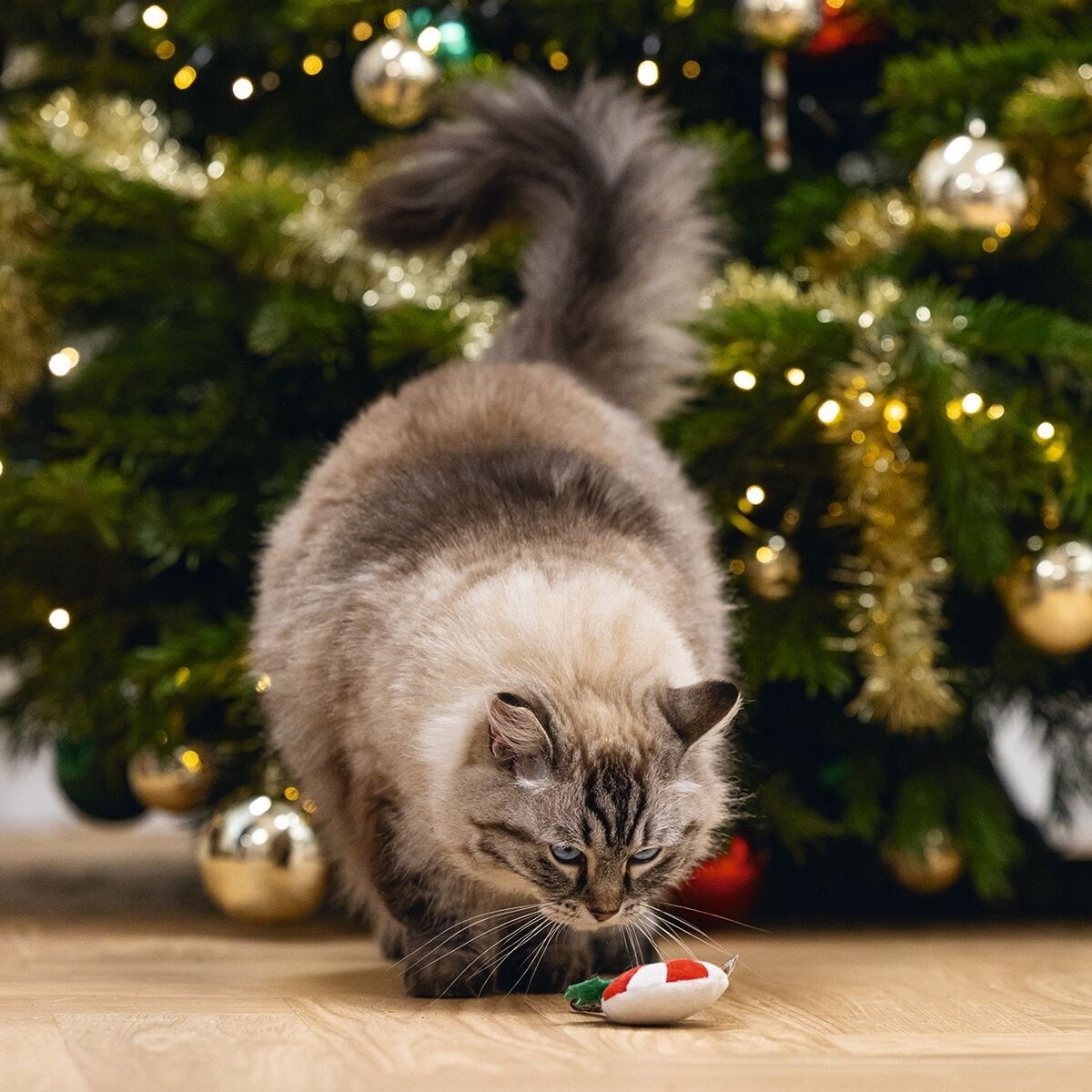 Beeztees Matatabi Lollipop