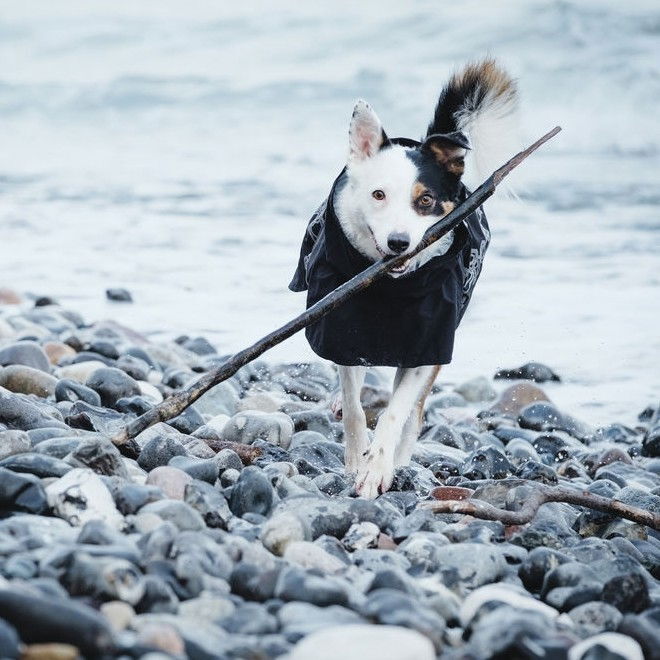 Hurtta Drizzle Regndekken Ravn 