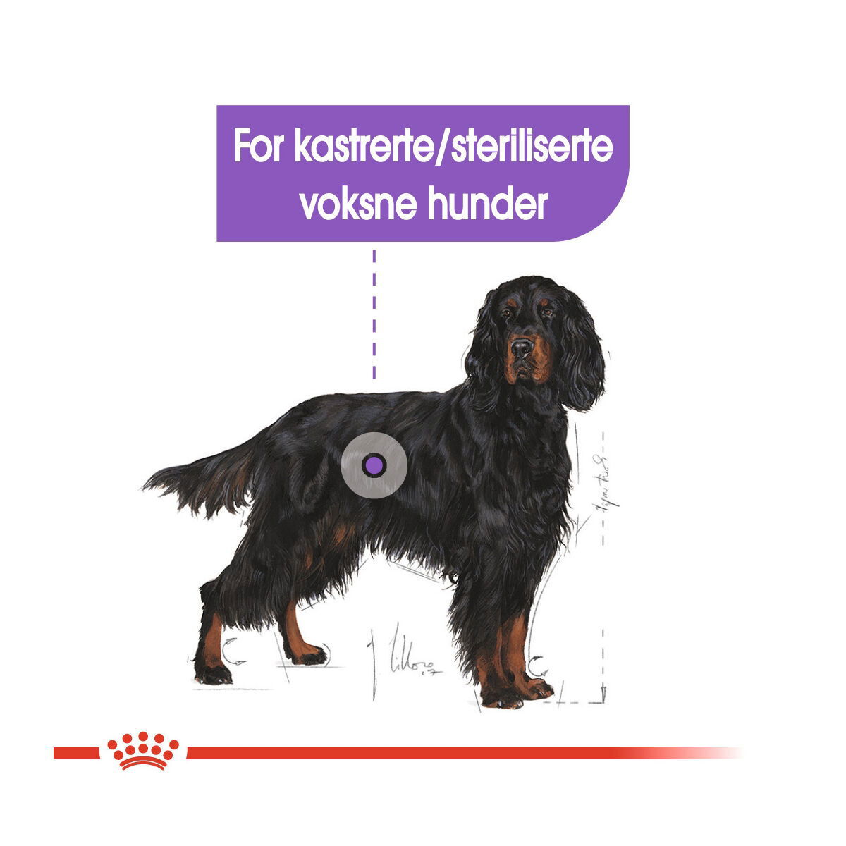 Royal Canin Sterilised Maxi Adult tørrfôr til hund