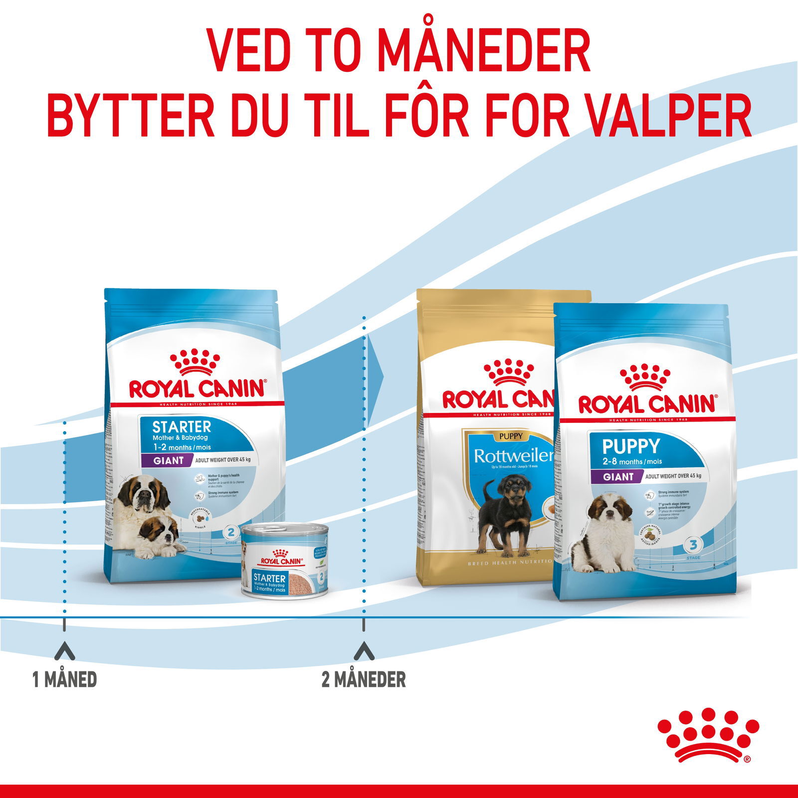 Royal Canin Giant Starter