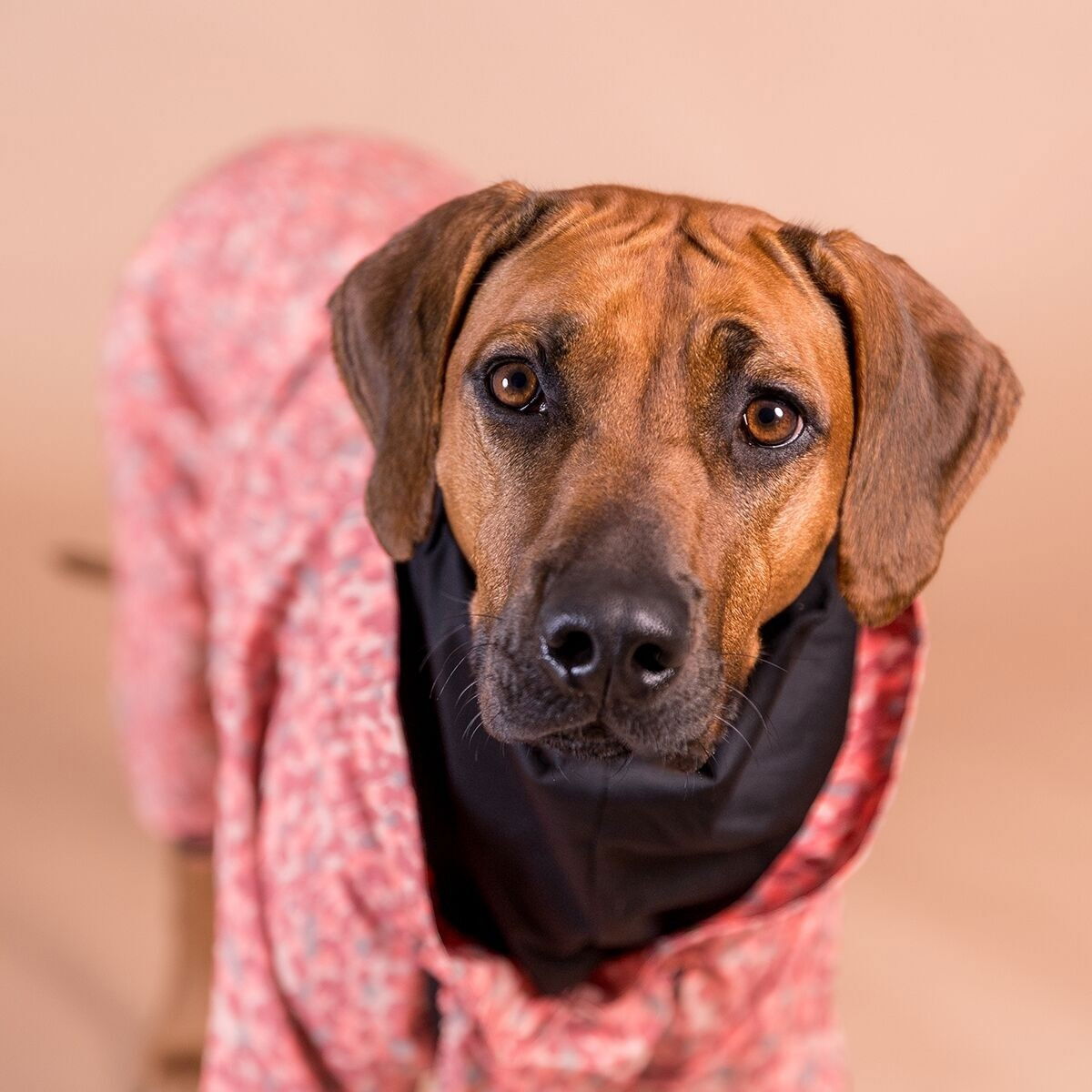 PAIKKA Rain Suit, Red