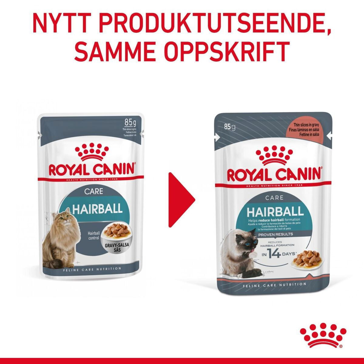 Royal Canin Hairball Care Gravy Adult våtfôr til katt