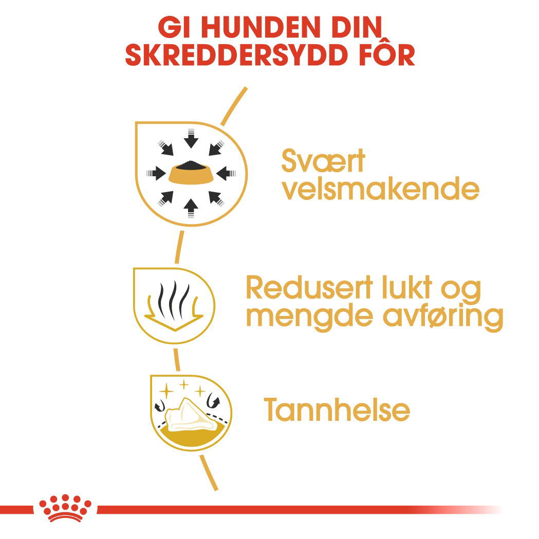 Royal Canin Chihuahua Adult tørrfôr til hund