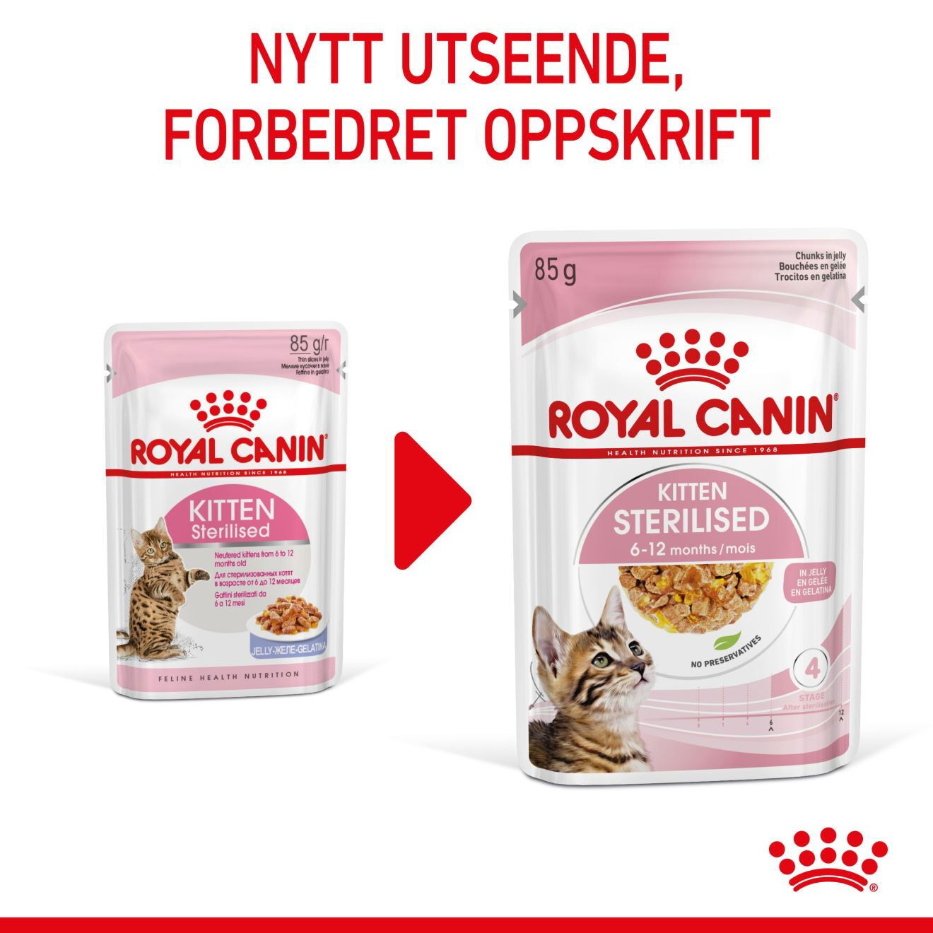RC FHN Kitten Sterilised Jelly 12x85g