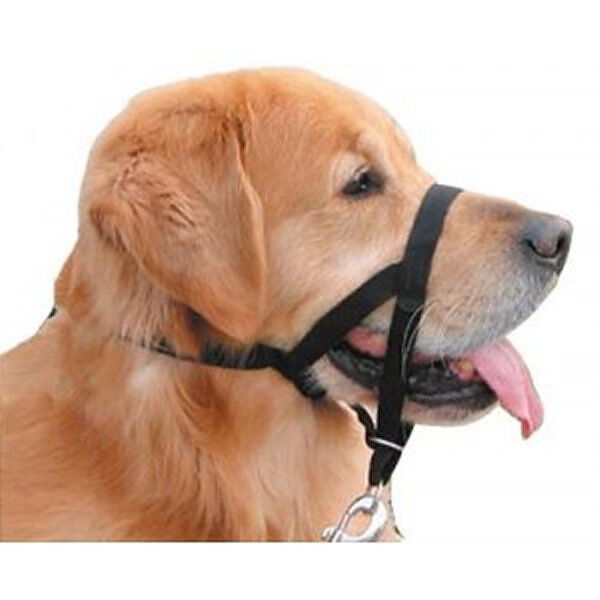 Headcollar Halti Size 5