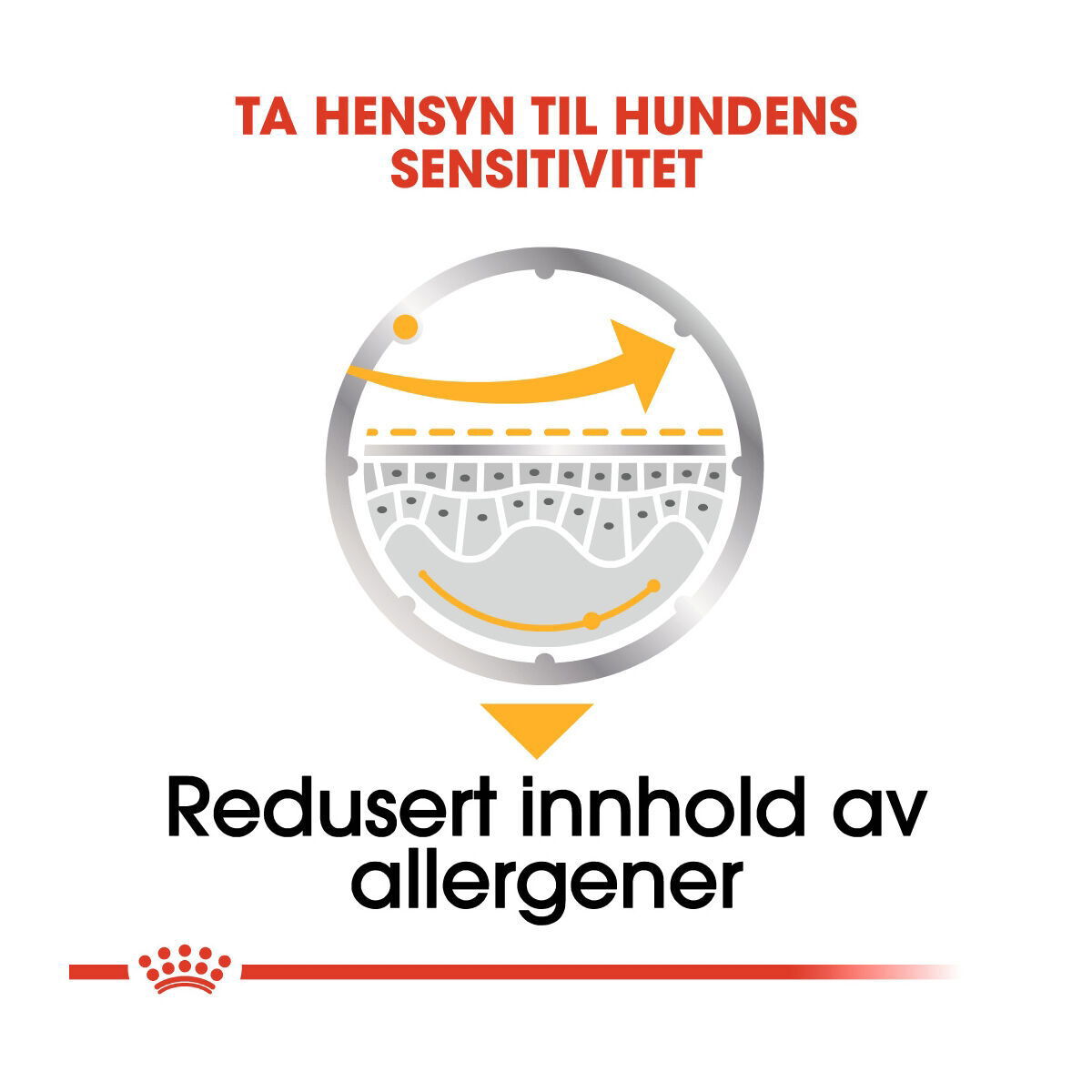 Royal Canin Dermacomfort Adult Loaf våtfôr til hund