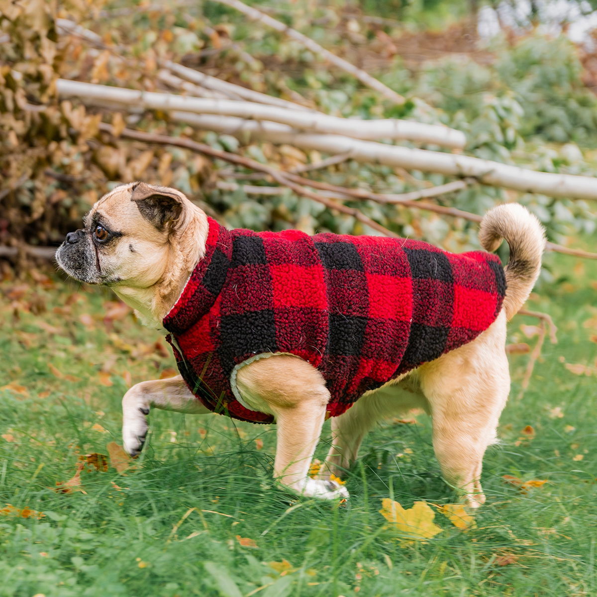 FuzzYard The Lumberjack Red/Black