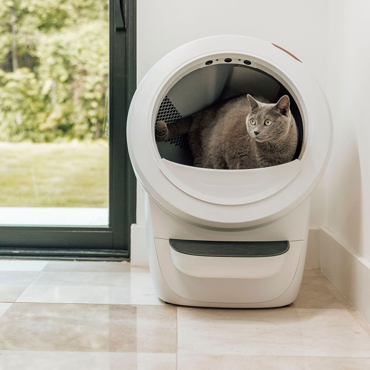 Whisker Litter-Robot 4, white